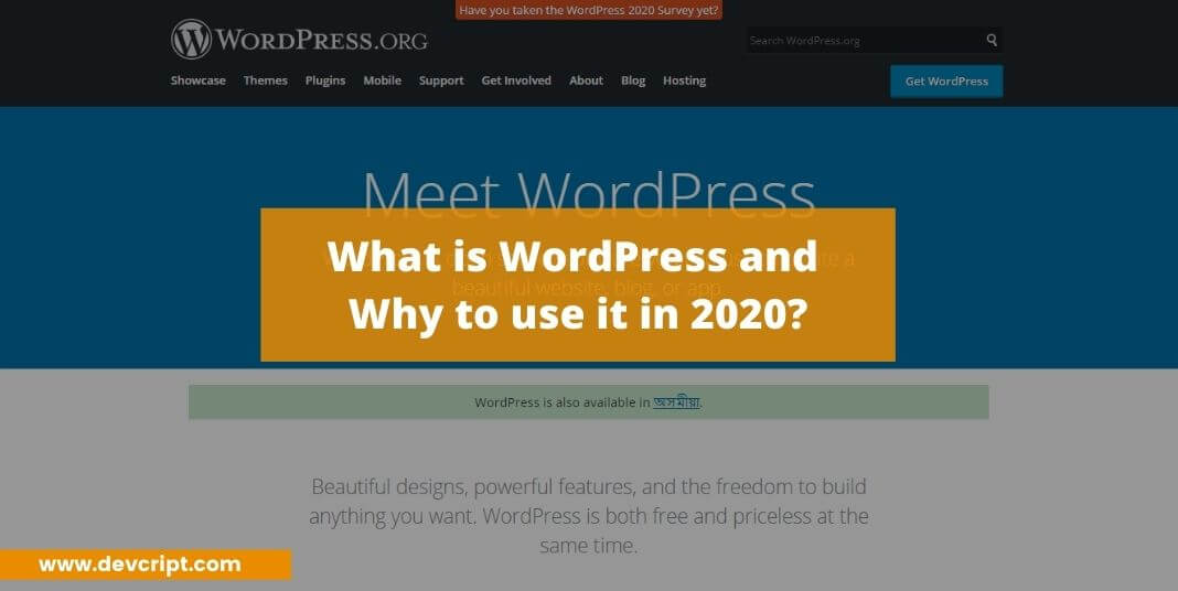 What is WordPress and why to use it in 2020?
